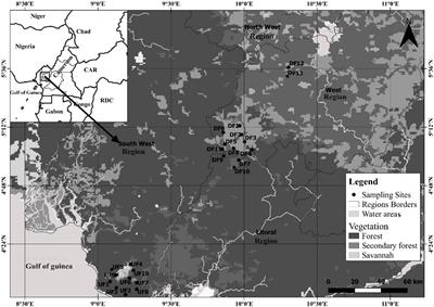 Patterns of Bat Diversity in an Undisturbed Forest and Forest Mosaic Habitats of the Afromontane Forest Biome of Western Cameroon